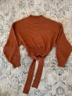 Windsor Cropped open back with tie Sweater